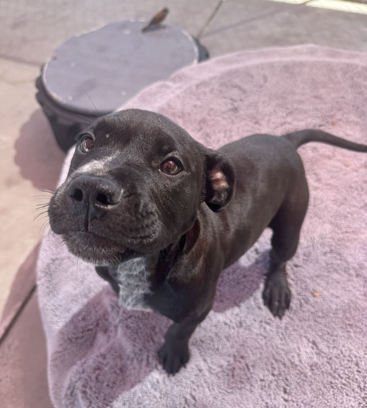 Gallery image: Milly