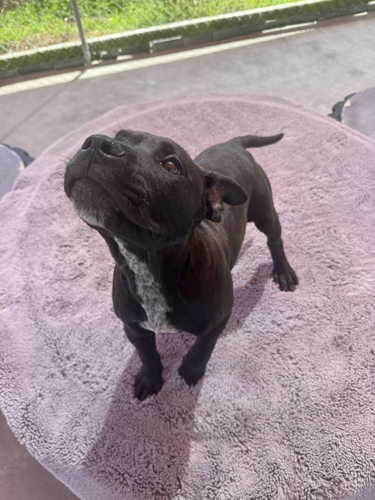 Gallery image: Milly