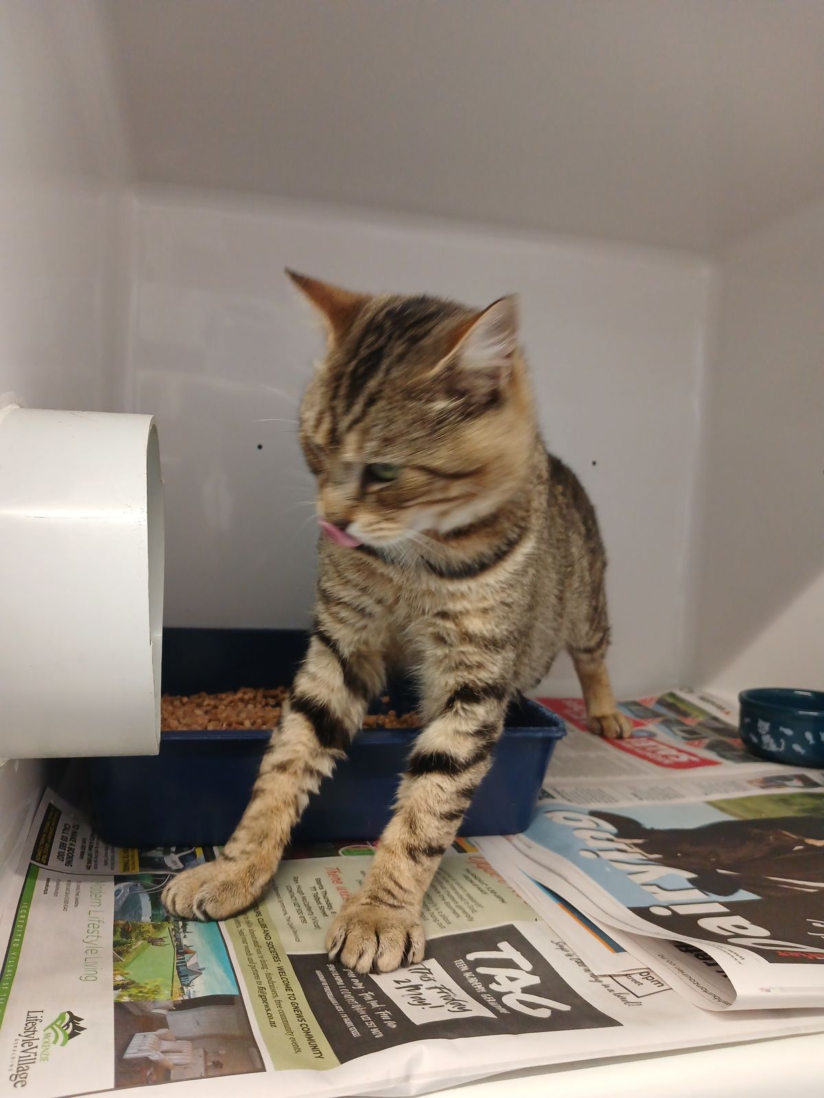 Gallery image: Oscar