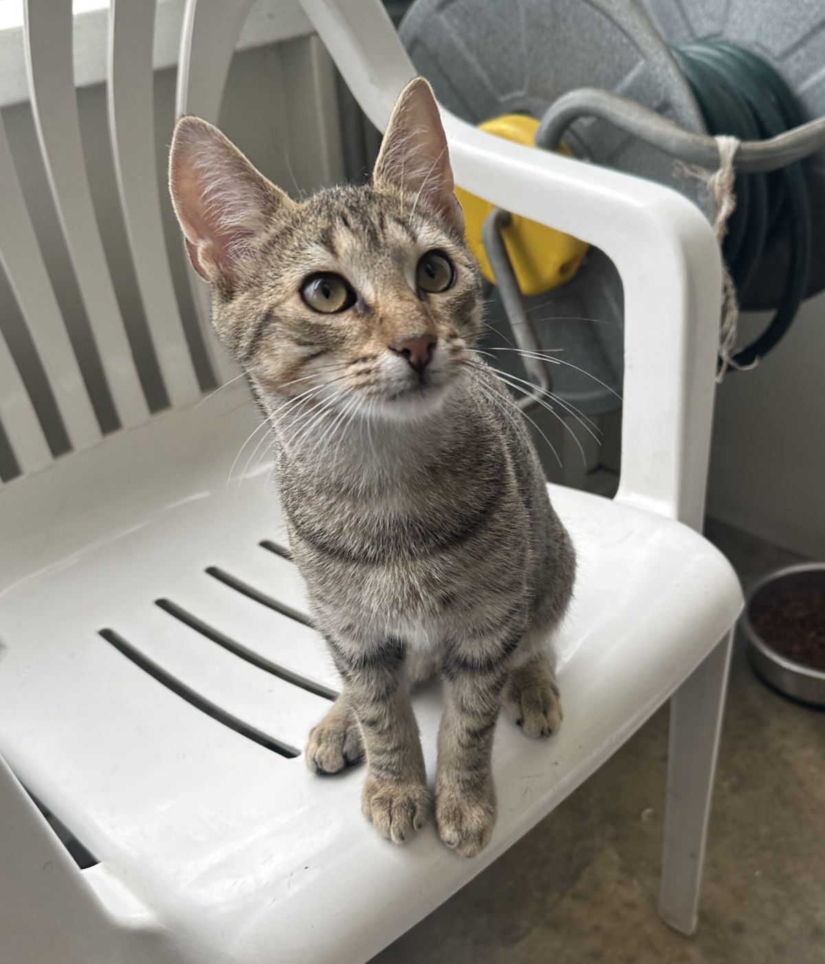 Gallery image: Bella