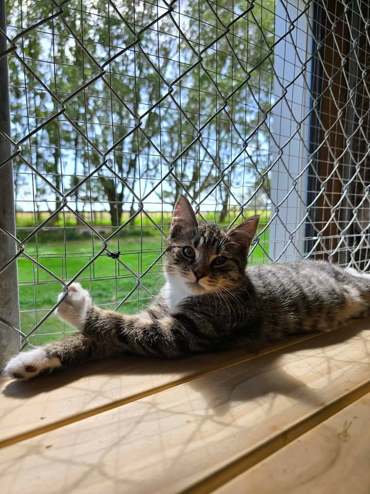 Gallery image: Lennox