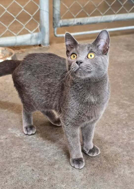 Gallery image: Brielle