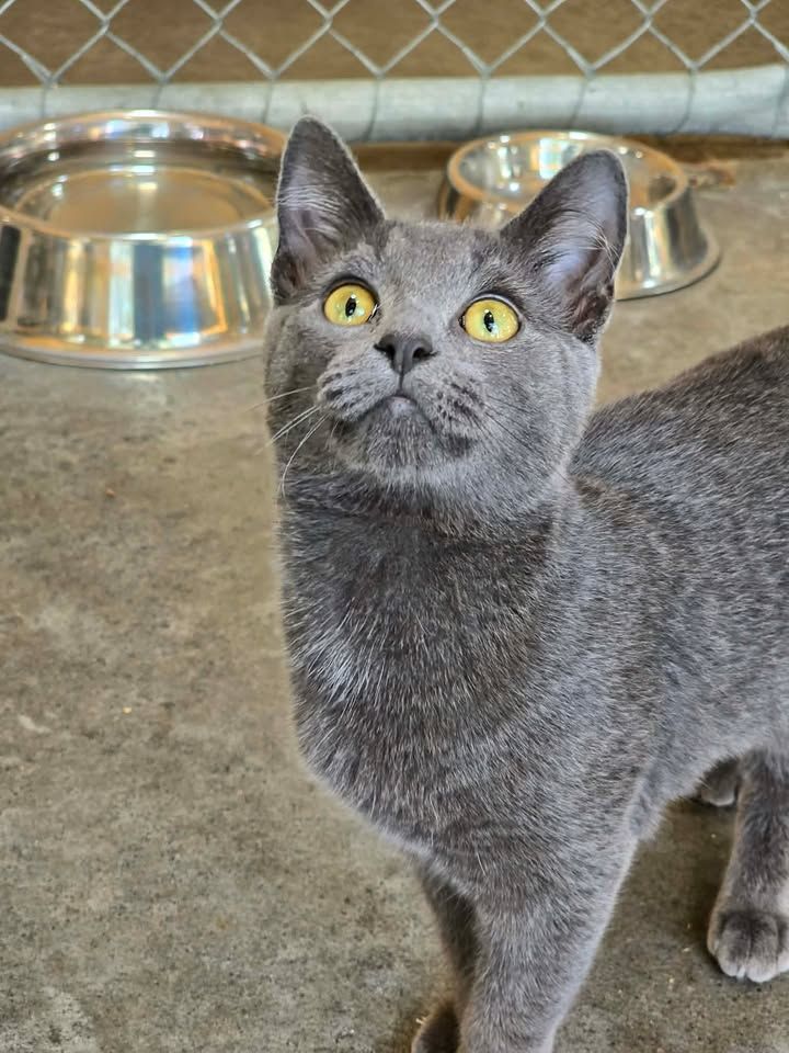 Gallery image: Brielle