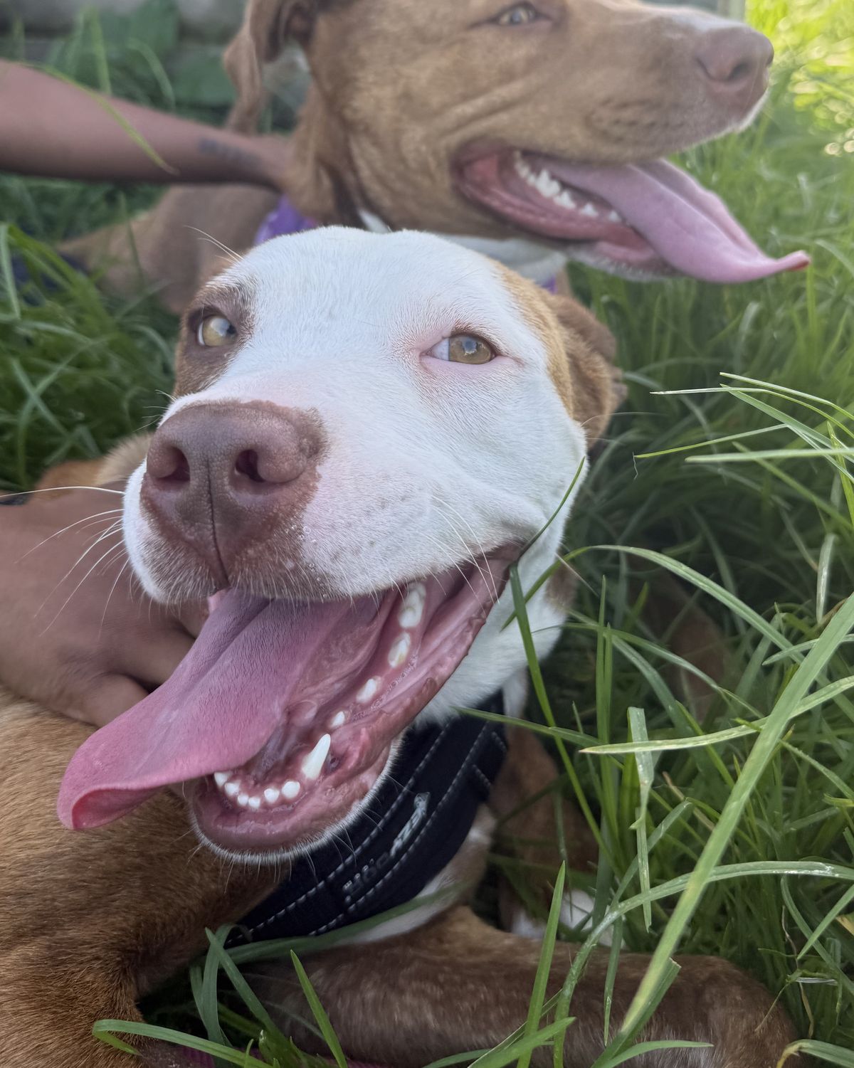 Gallery image: Princess Peach