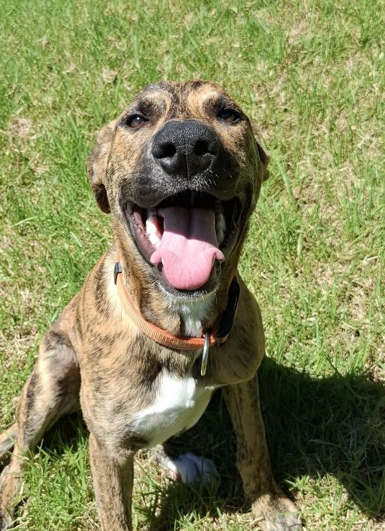 Gallery image: Winter