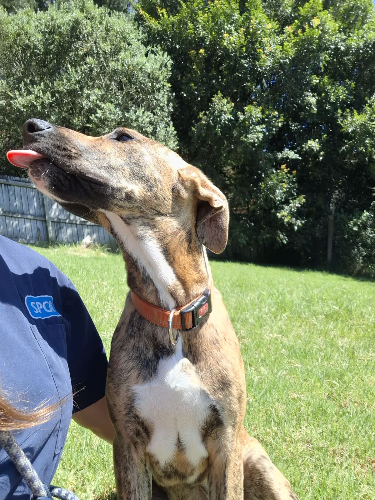 Gallery image: Winter