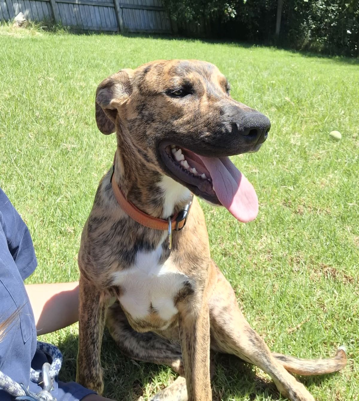 Gallery image: Winter