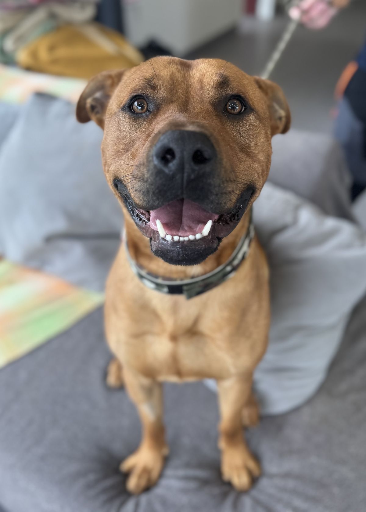 Gallery image: Fridge