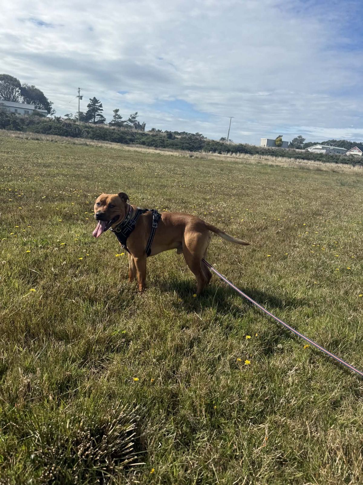 Gallery image: Fridge