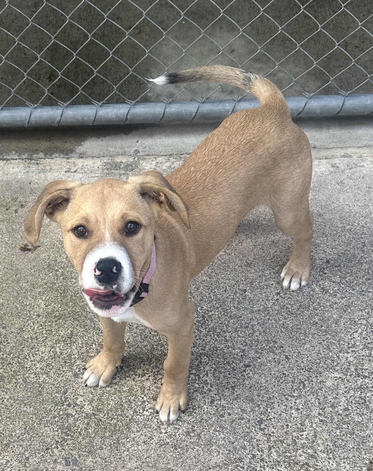 Gallery image: Sandy