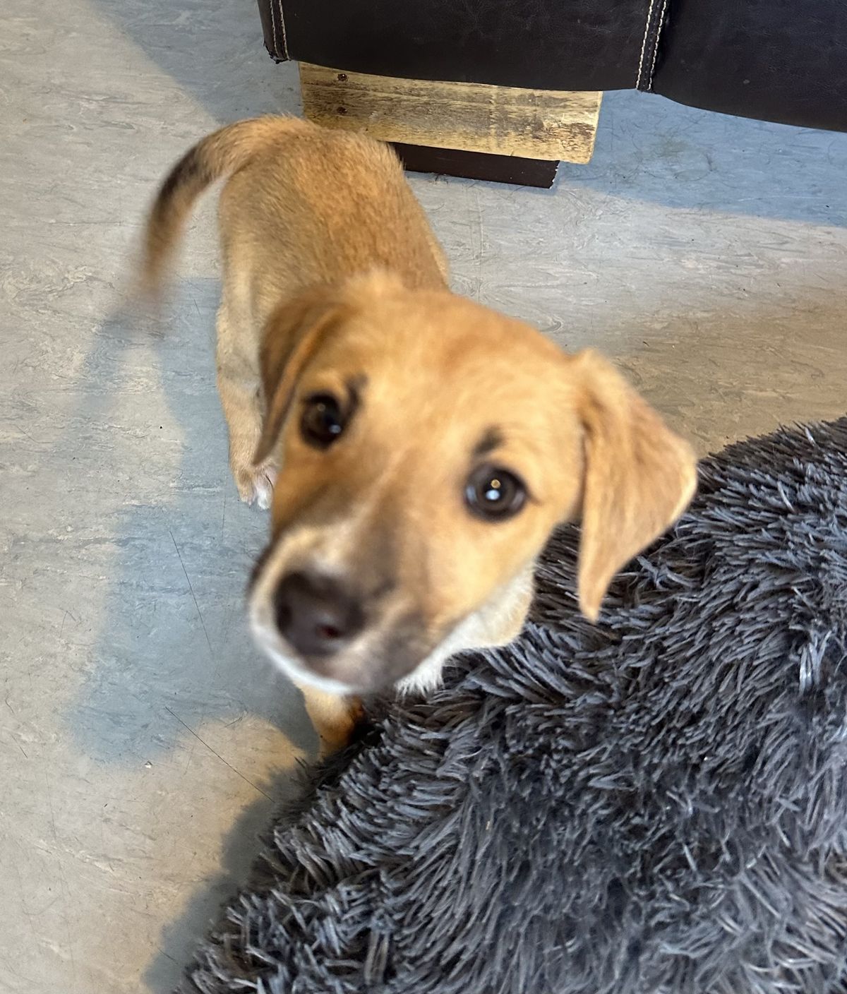 Gallery image: Marie