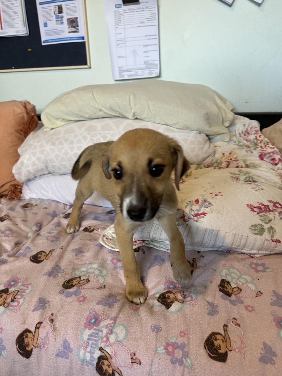 Gallery image: Marie