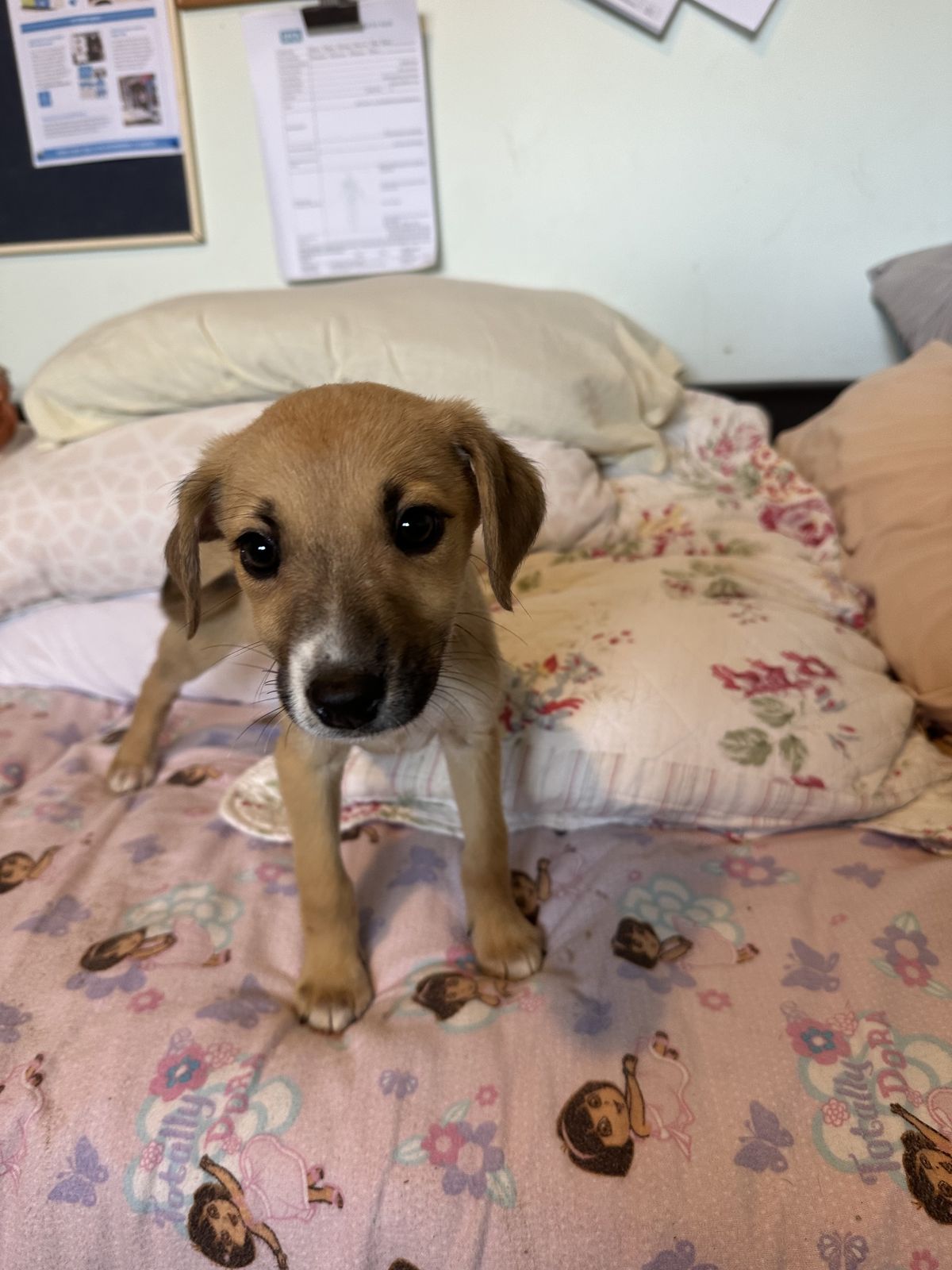 Gallery image: Marie