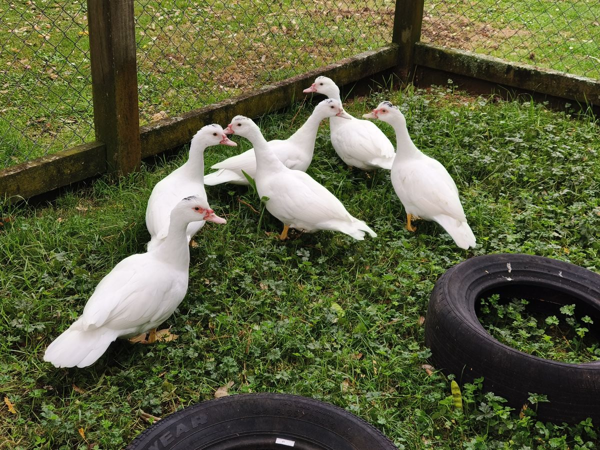 Gallery image: Cloud