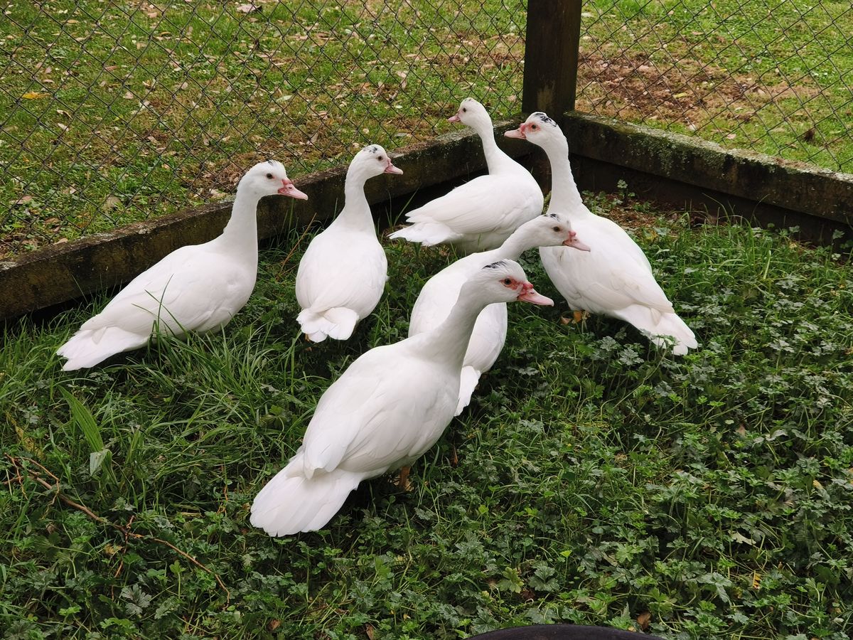 Gallery image: Misty