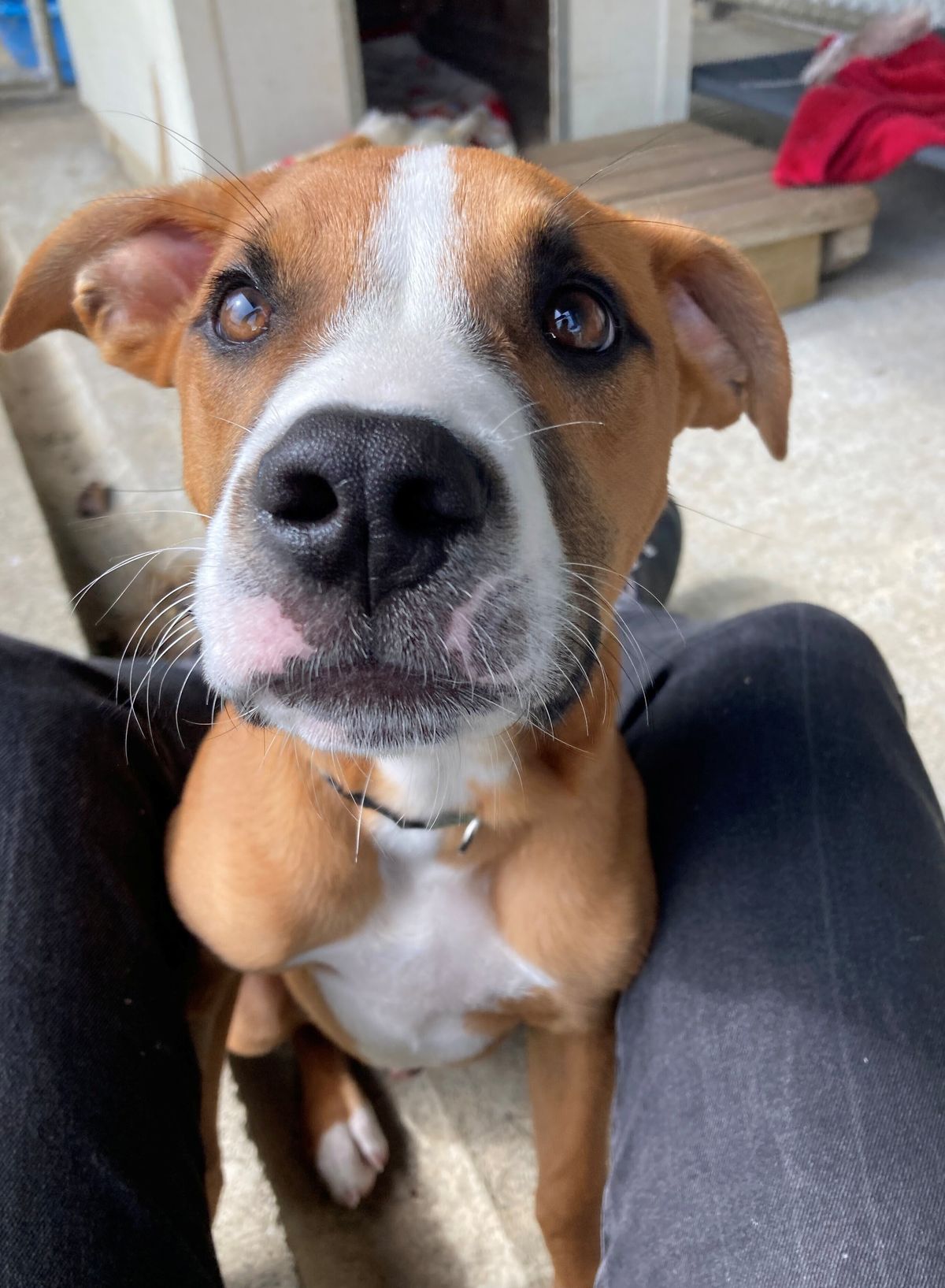 Gallery image: Galileo