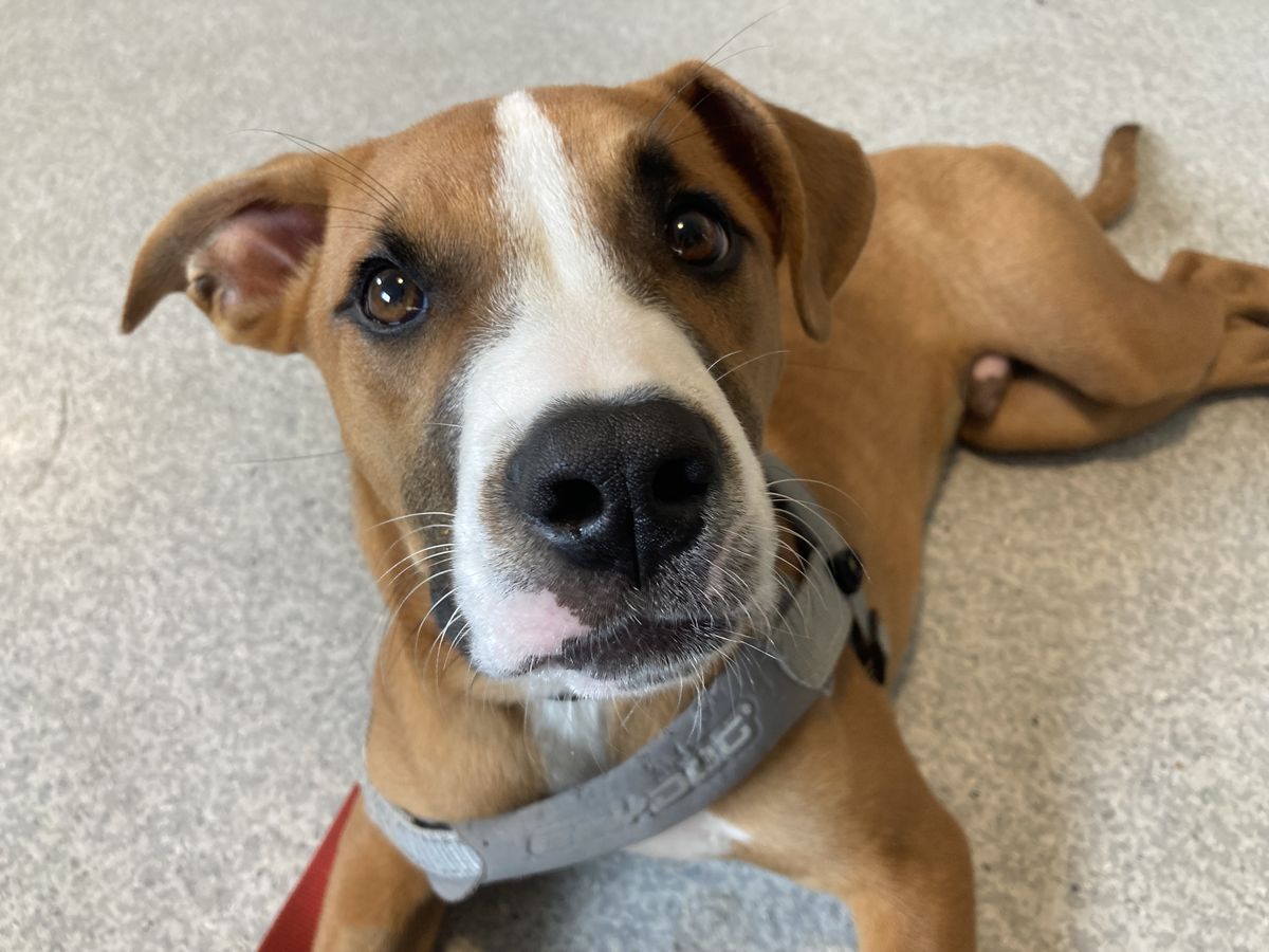 Gallery image: Galileo