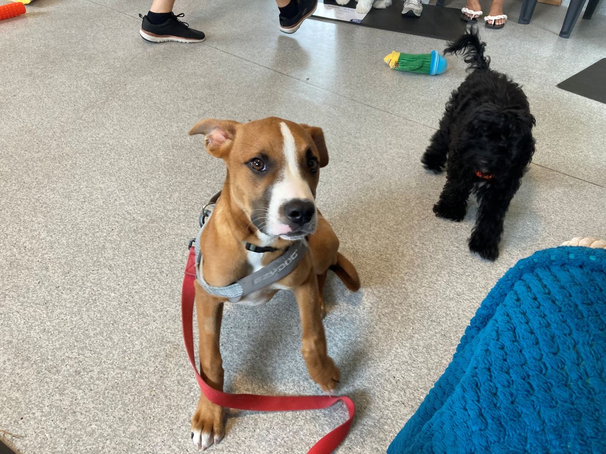 Gallery image: Galileo