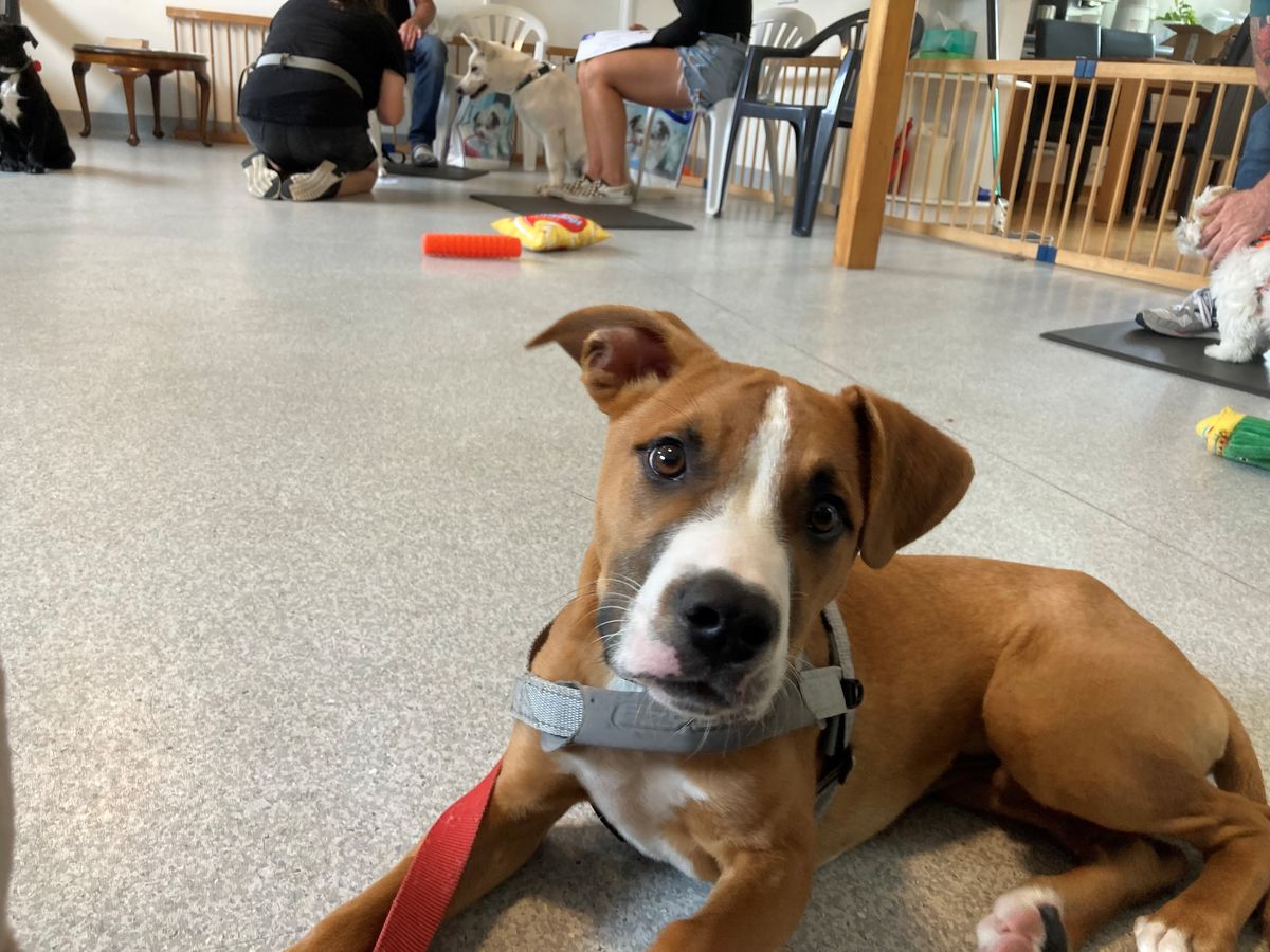 Gallery image: Galileo