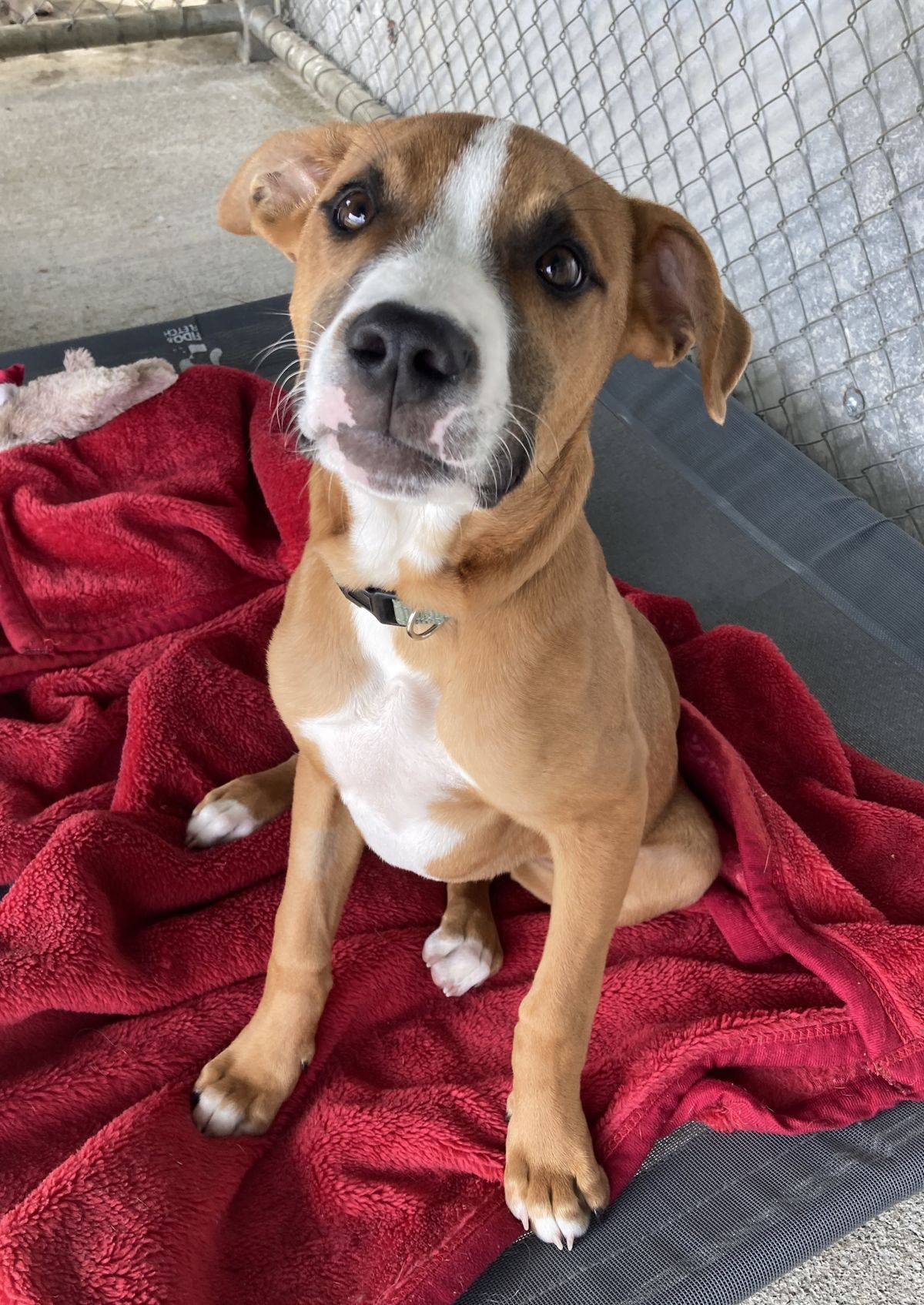 Gallery image: Galileo