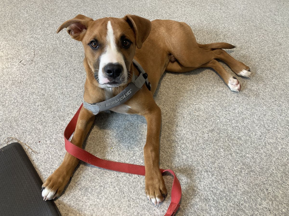 Gallery image: Galileo