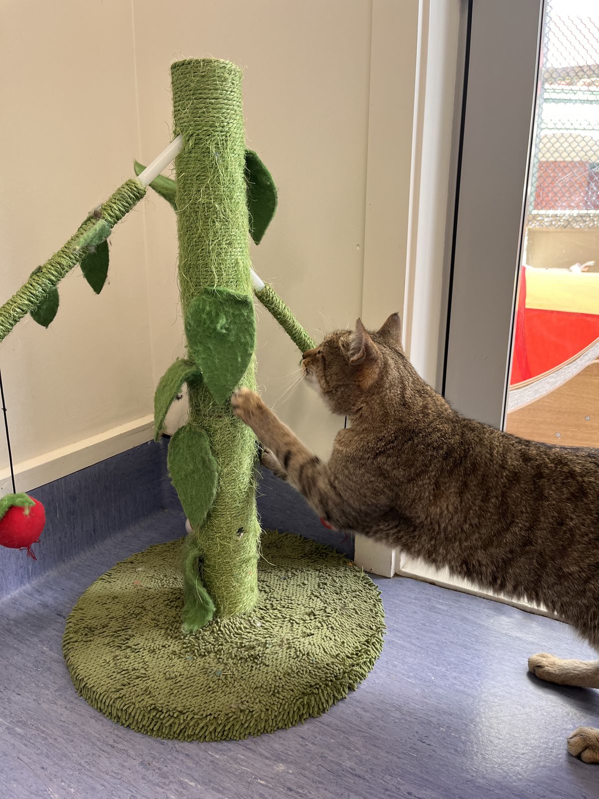 Gallery image: Spindle