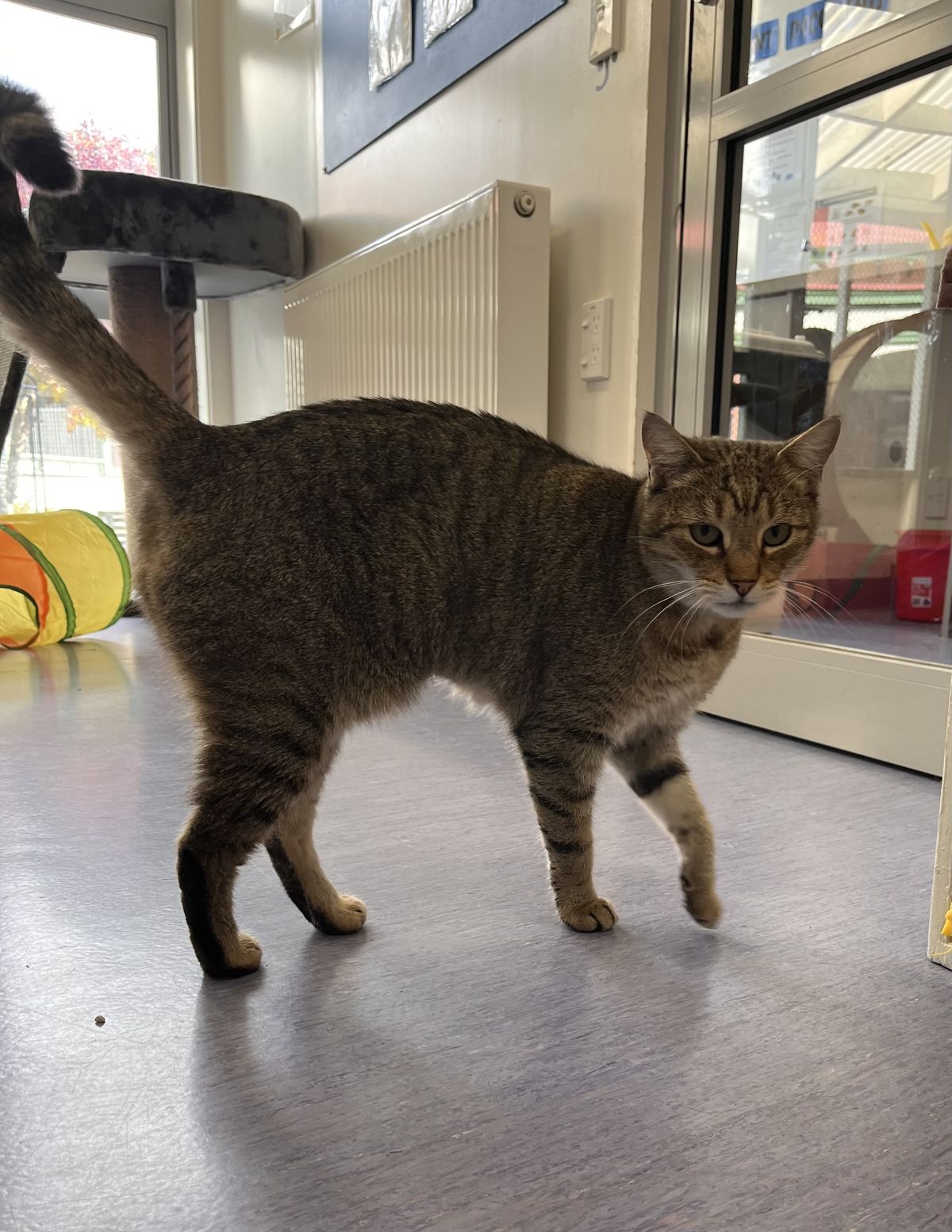 Gallery image: Spindle