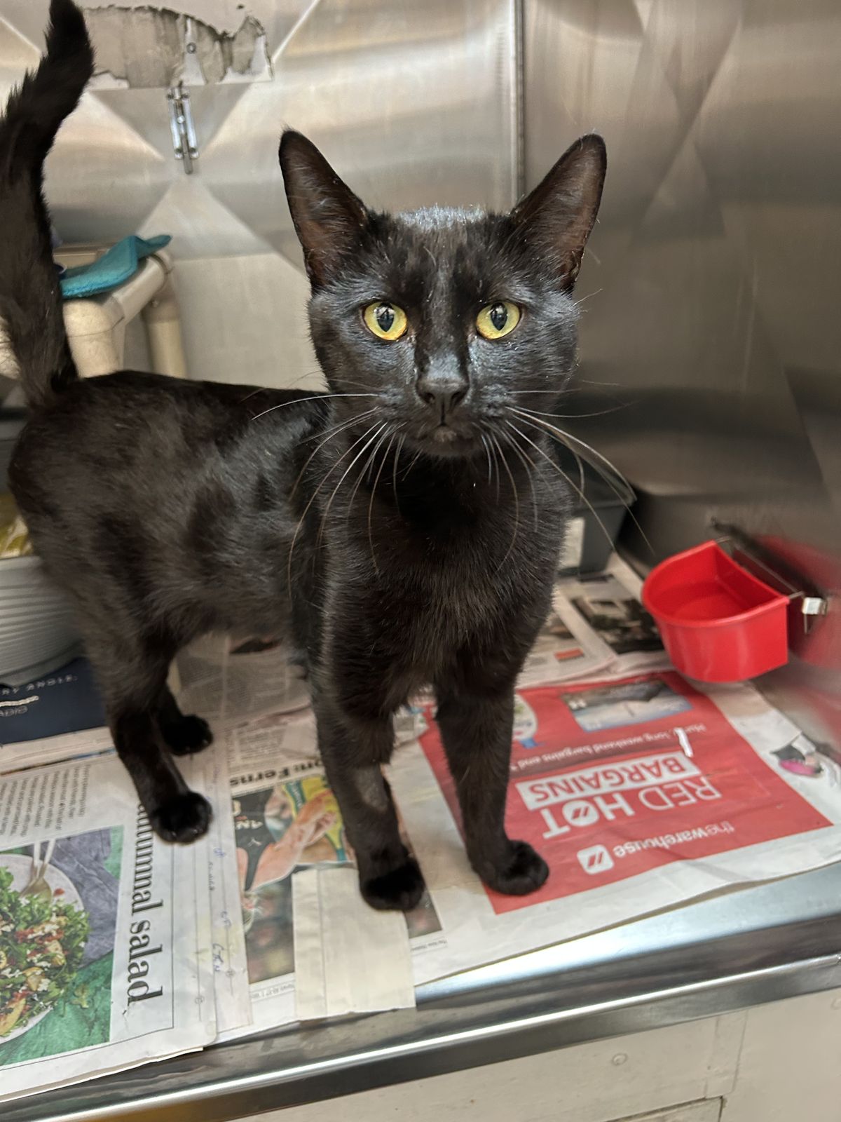 Gallery image: Paddington