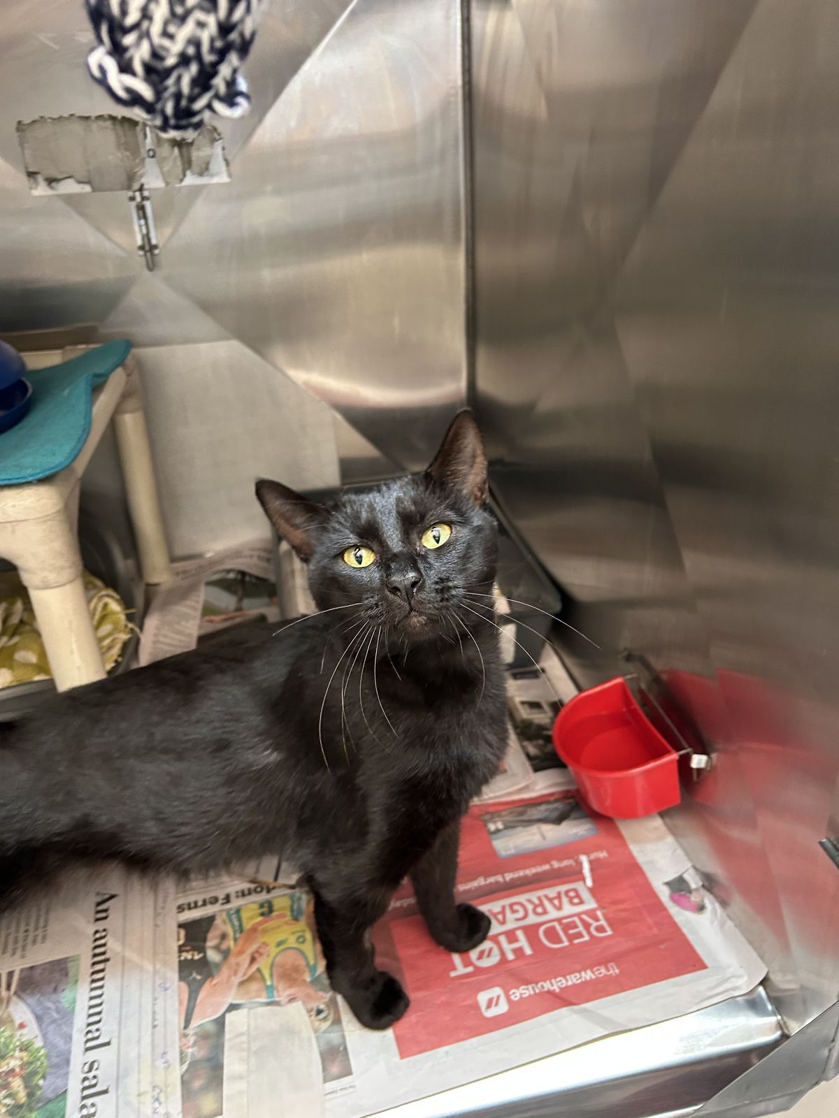 Gallery image: Paddington