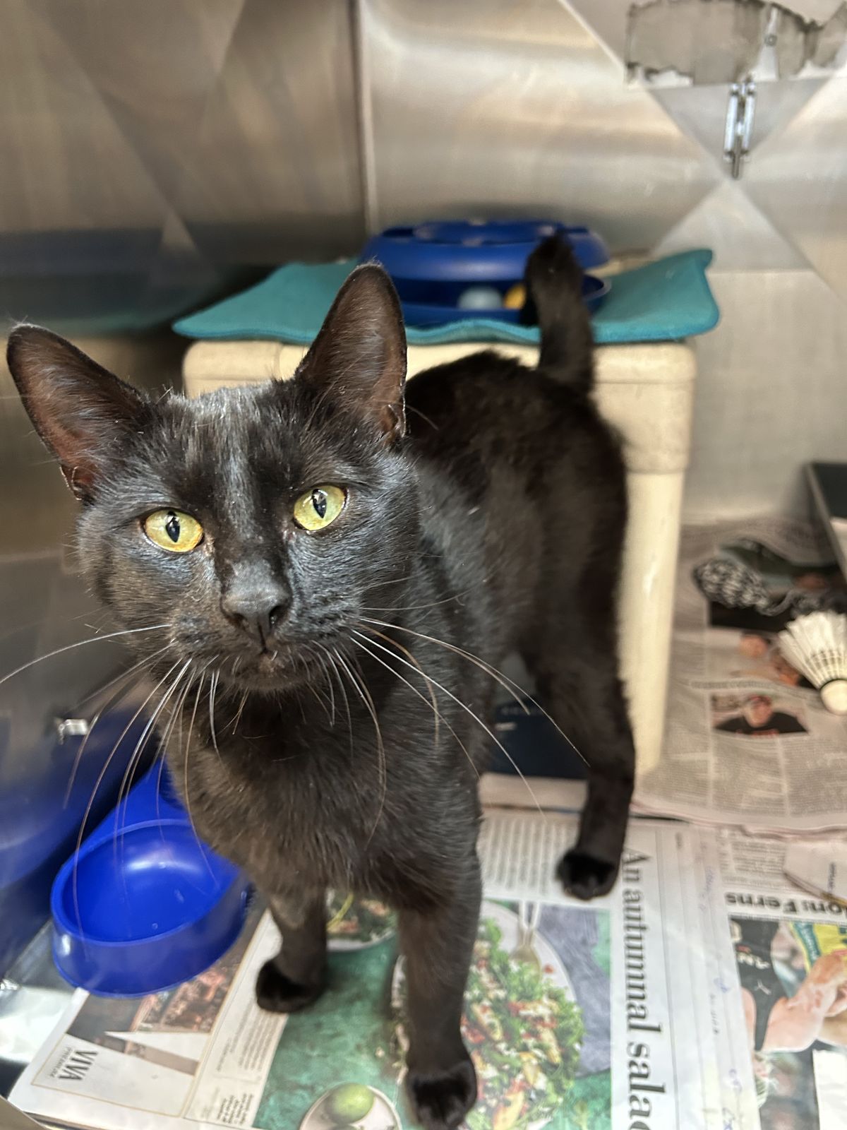 Gallery image: Paddington