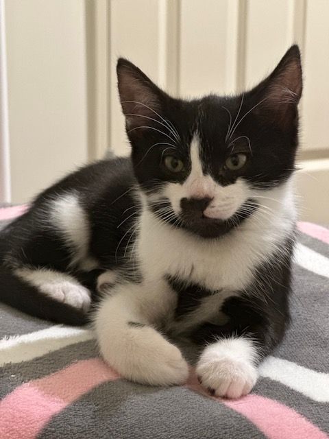 Gallery image: Boots