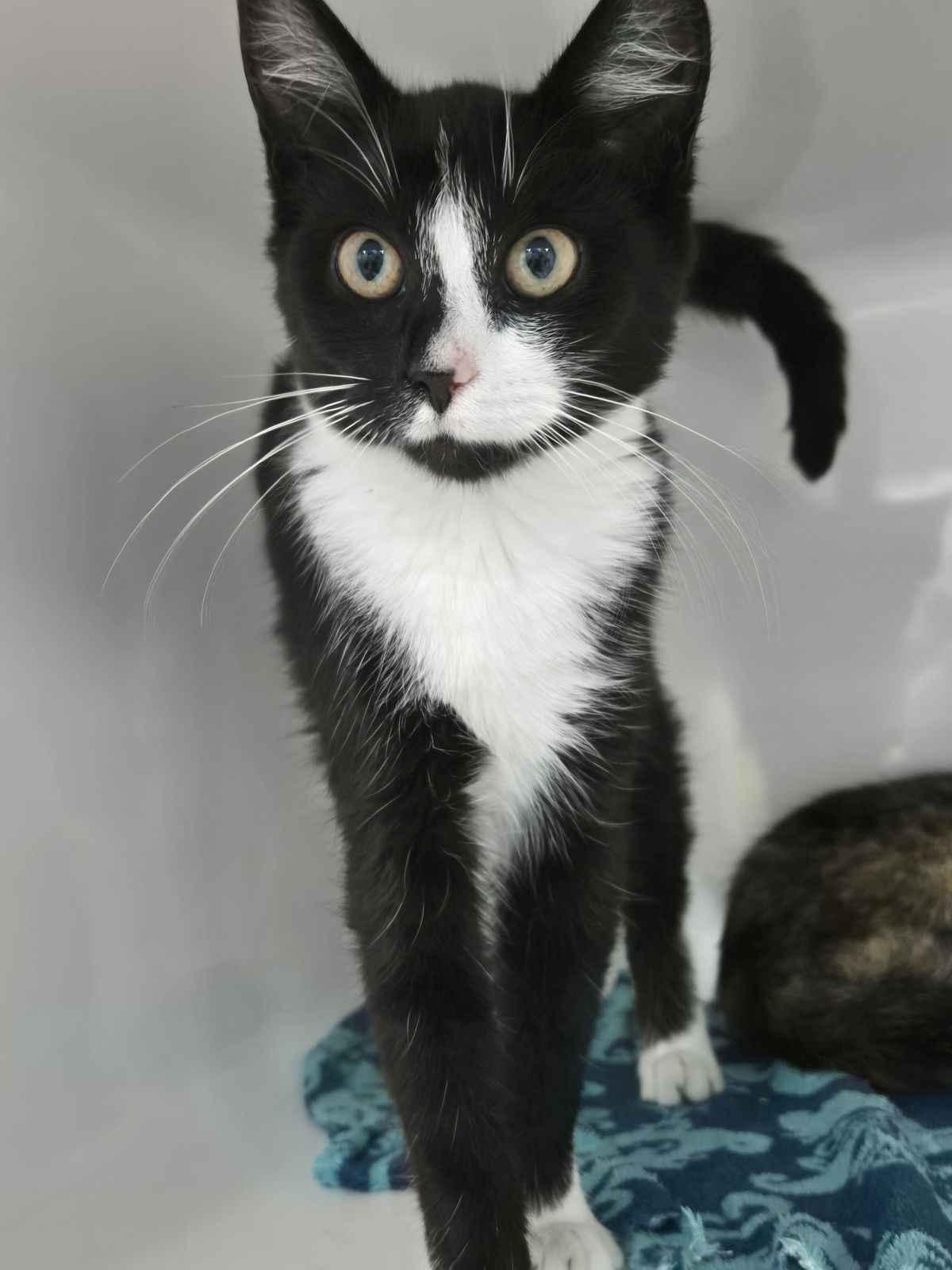 Gallery image: Hailey