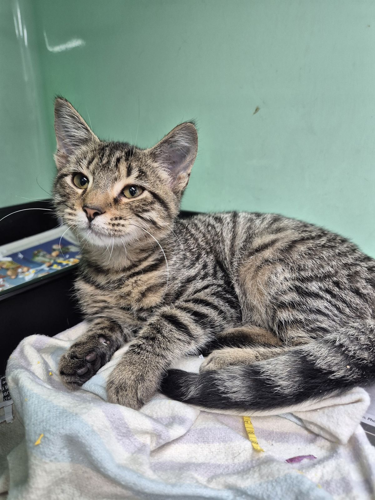 Gallery image: Sunny