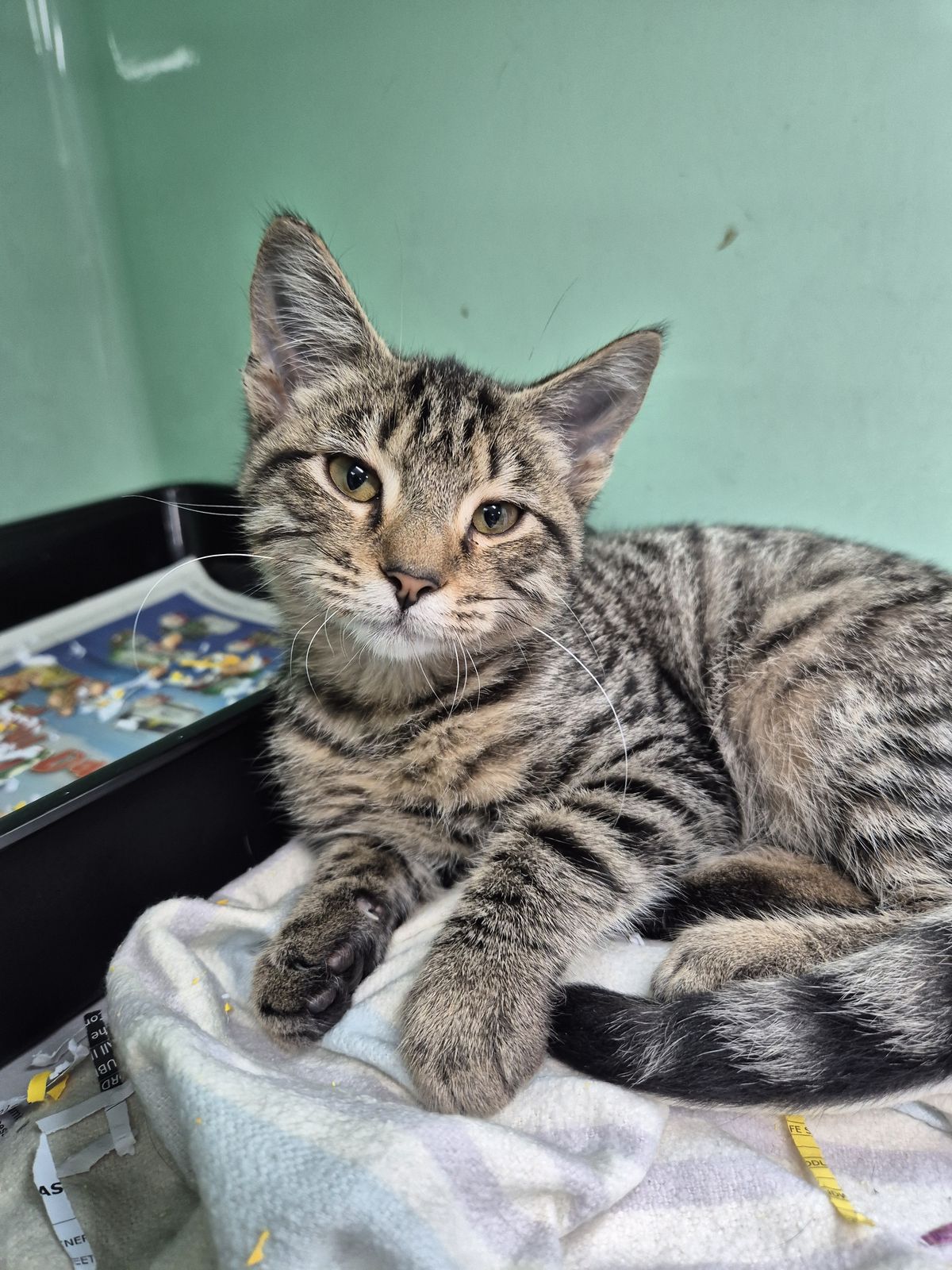 Gallery image: Sunny