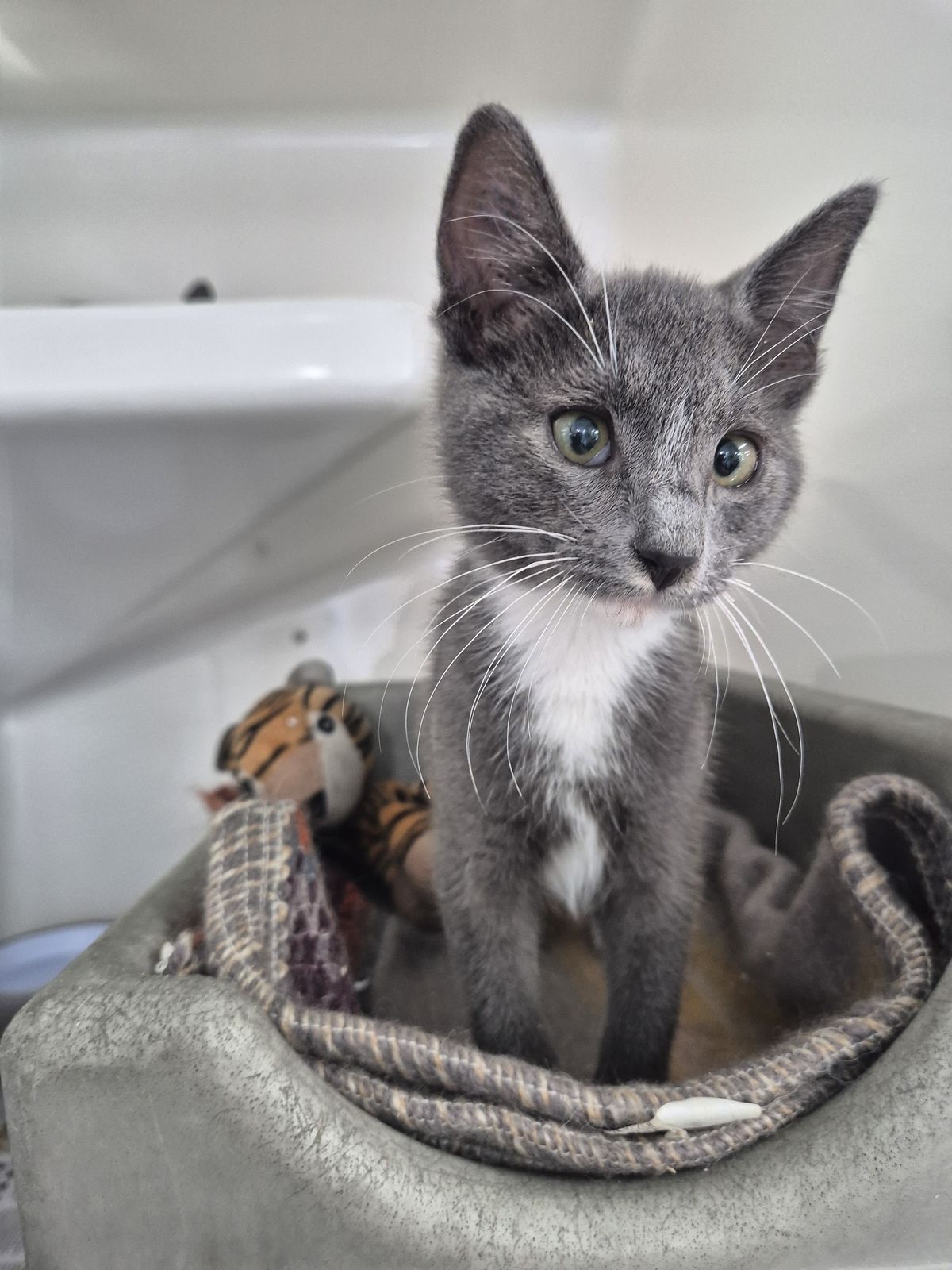 Gallery image: Michelle