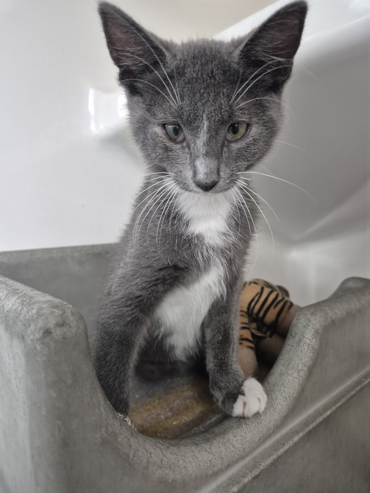 Gallery image: Michelle