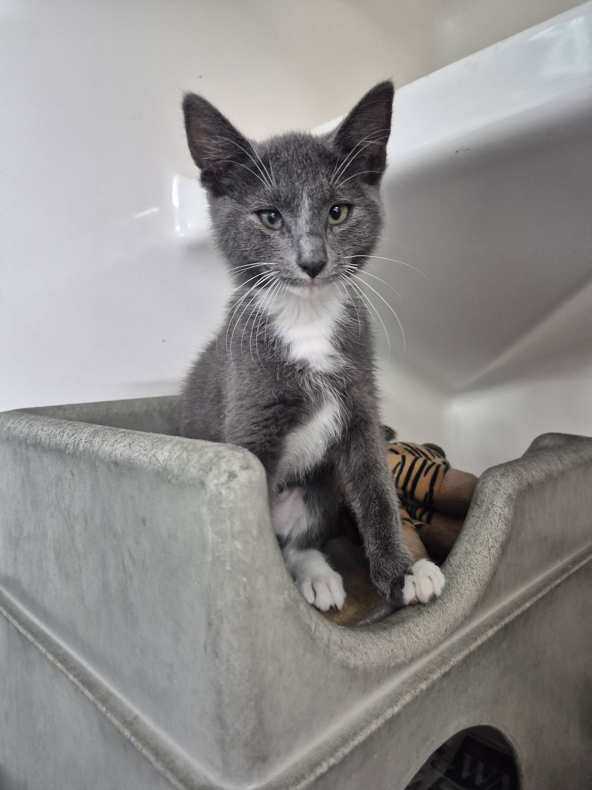 Gallery image: Michelle