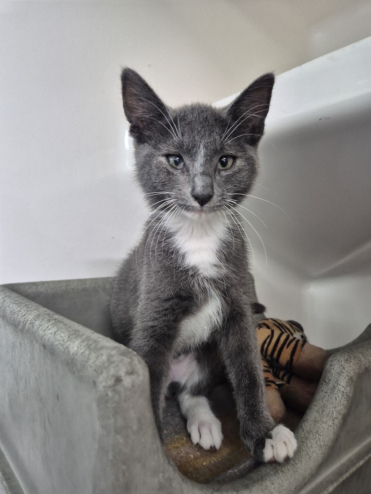 Gallery image: Michelle