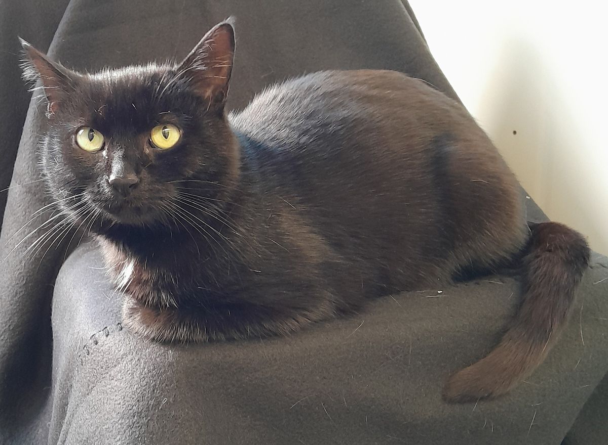 Gallery image: George