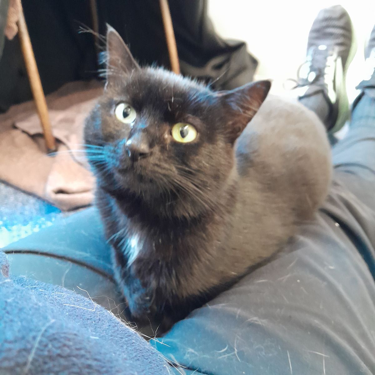 Gallery image: George