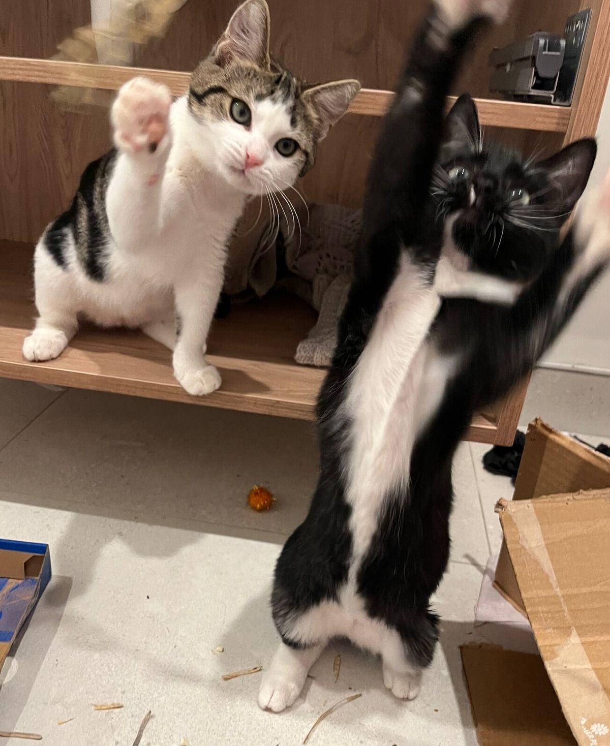 Gallery image: Louise