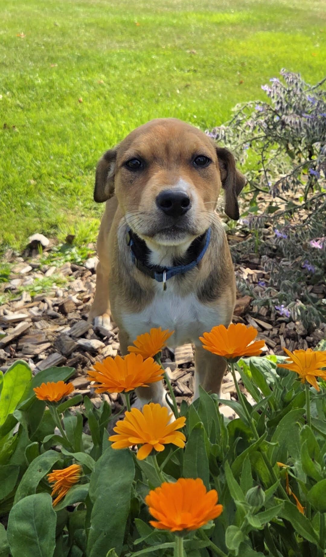 Gallery image: Misty