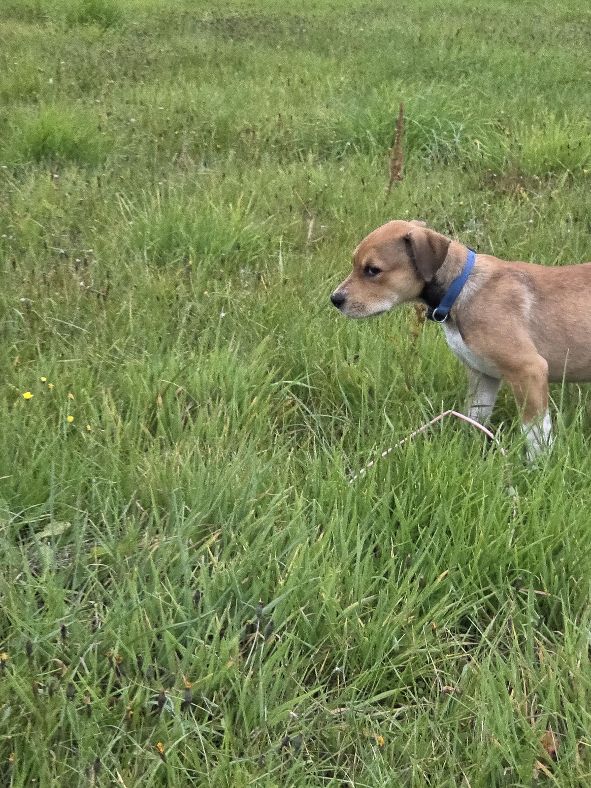 Gallery image: Misty