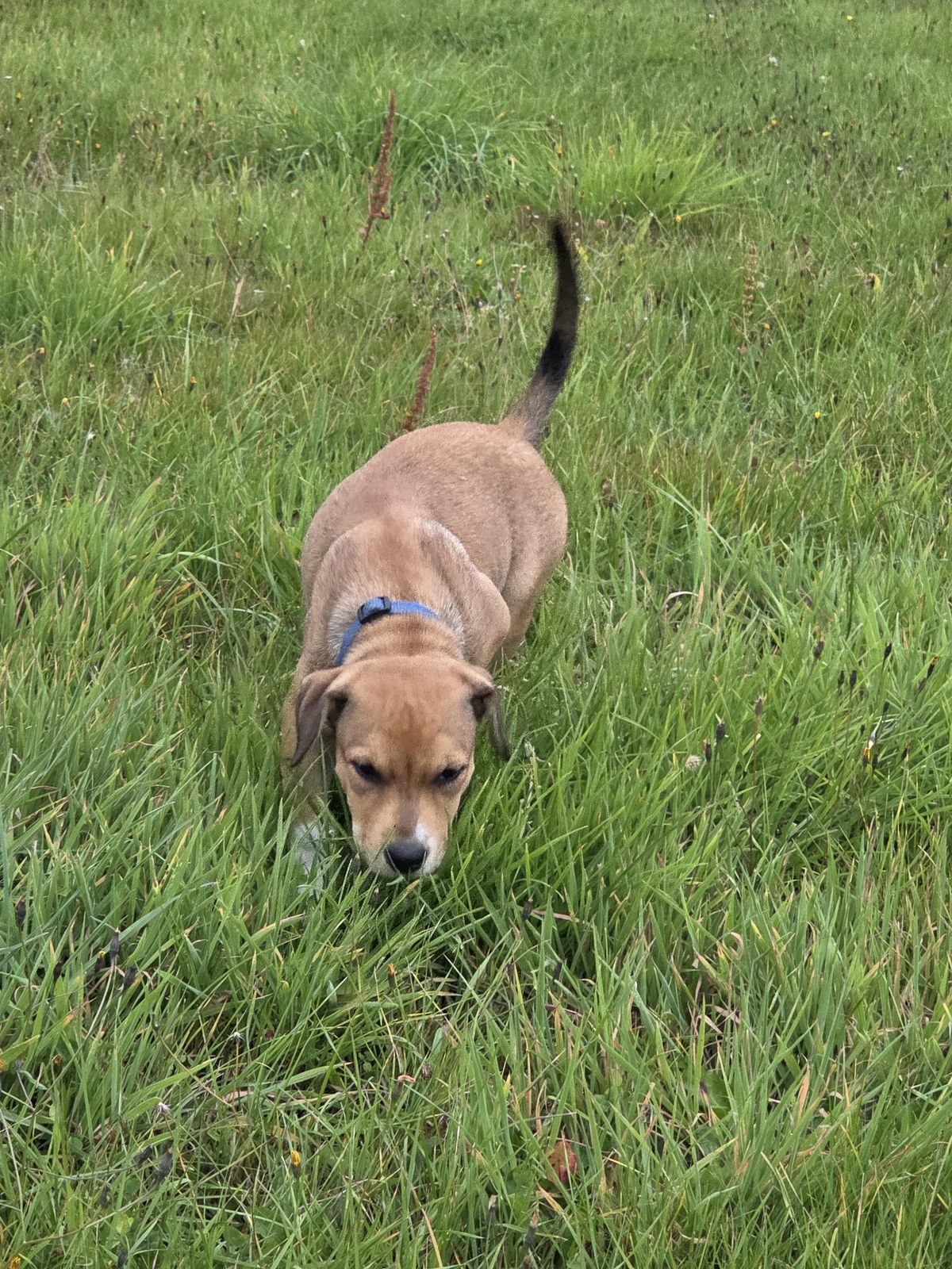 Gallery image: Misty