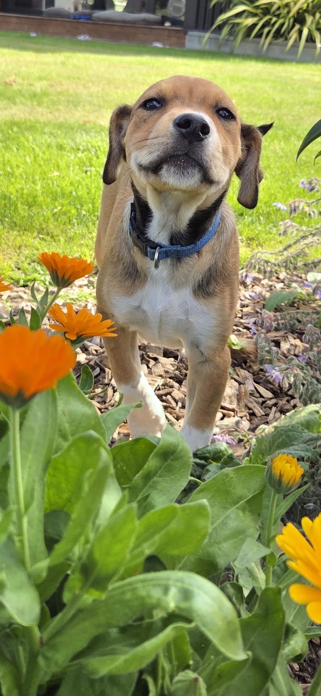 Gallery image: Misty