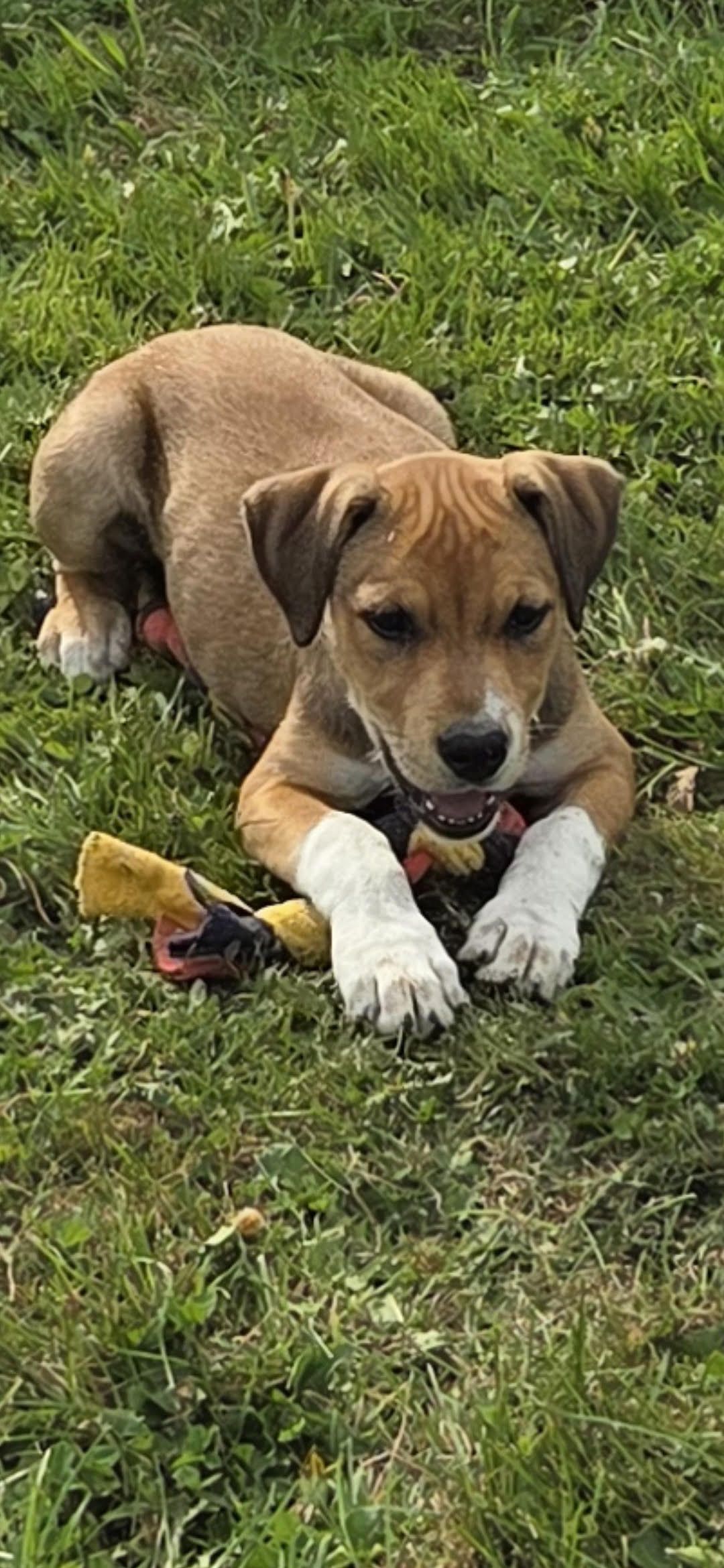 Gallery image: Misty