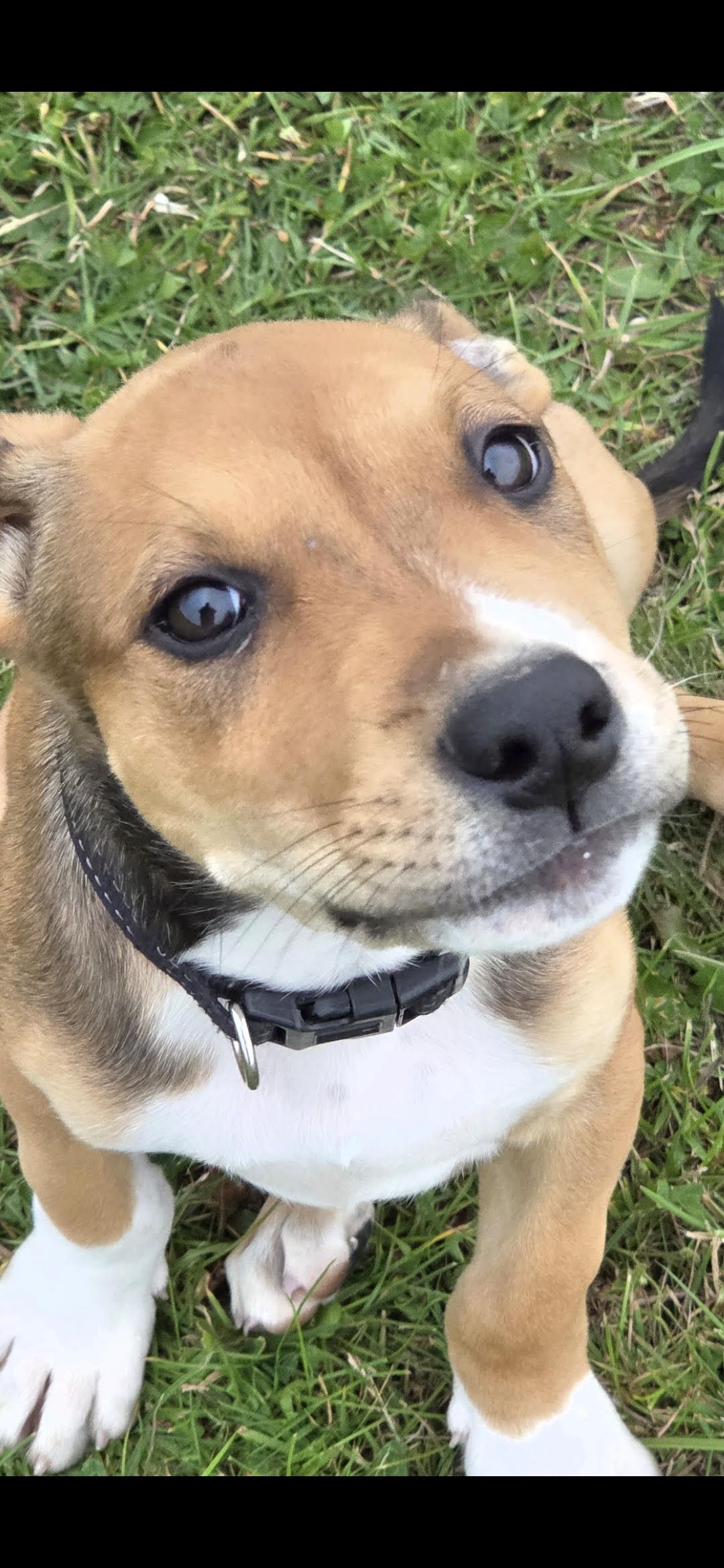 Gallery image: Zeppelin