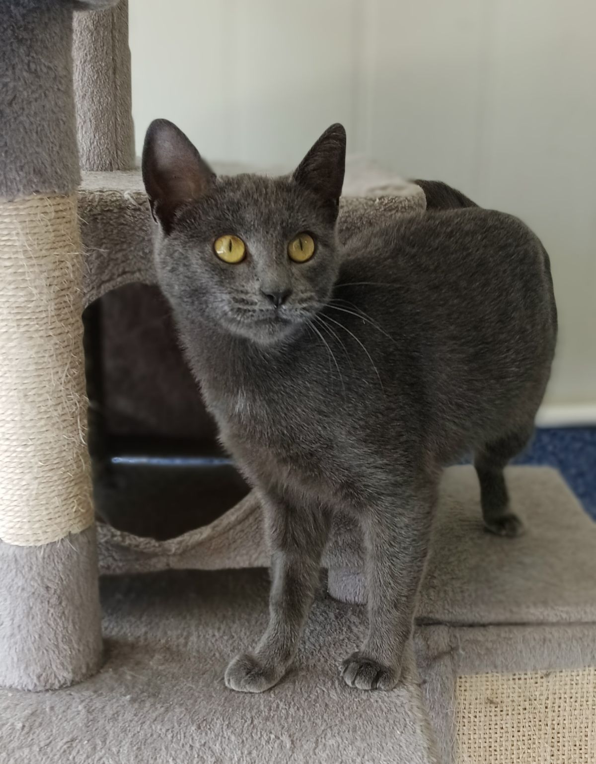 Gallery image: Mittsu