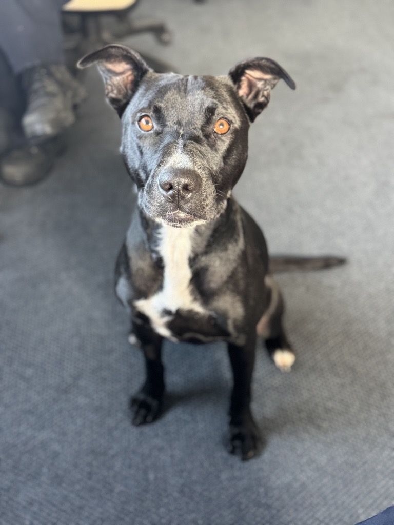 Gallery image: Aroha 