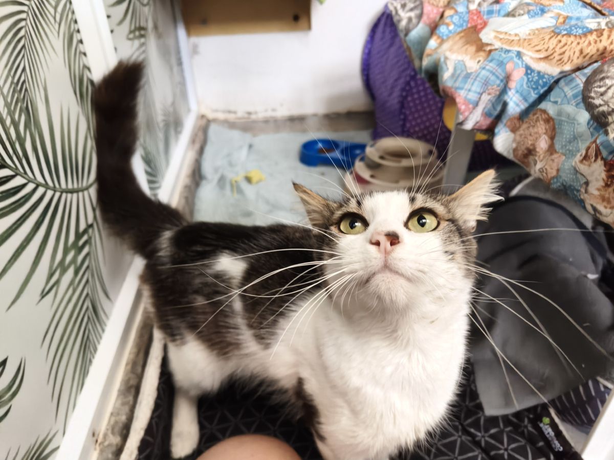 Gallery image: Jon Snow